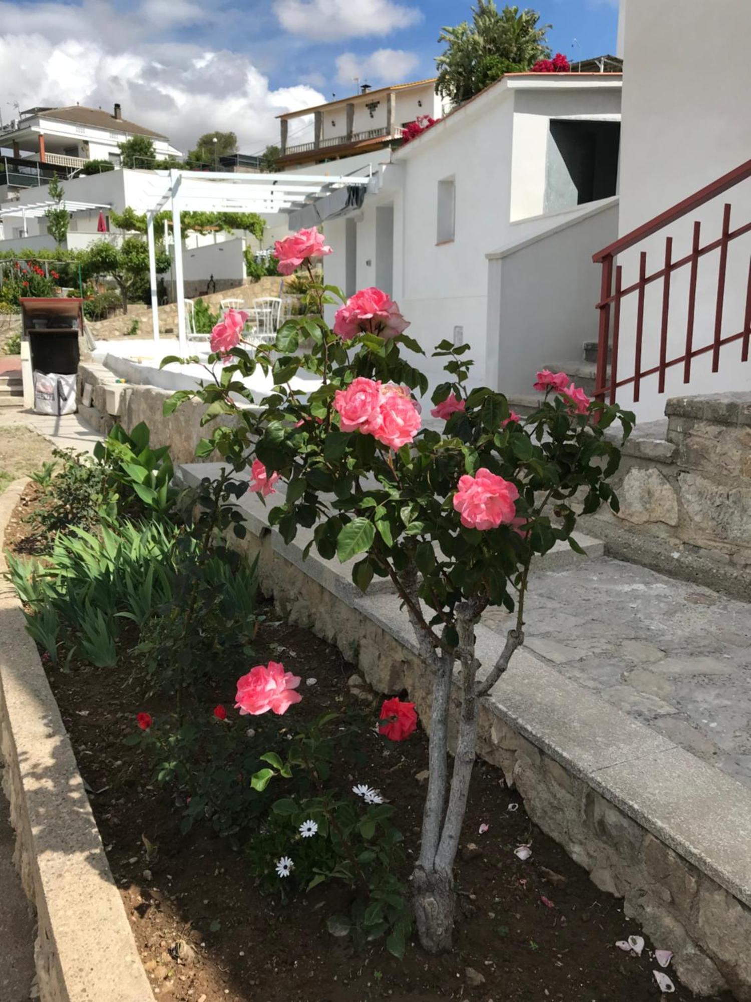 Campagne Luxueuse De Sitges Vila Olivella Exterior foto